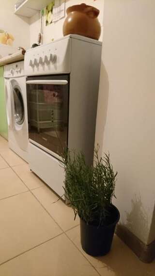 Апартаменты Comfortable Apartment on the River Bank Киев Улучшенные апартаменты-54