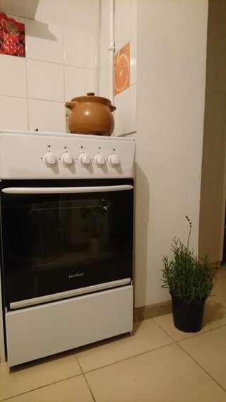 Апартаменты Comfortable Apartment on the River Bank Киев Улучшенные апартаменты-55